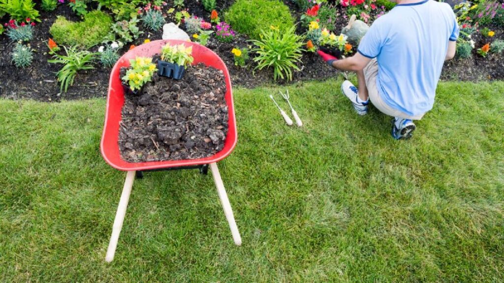 Gardener kneeling in a colorful flower bed, using tools beside a wheelbarrow filled with soil and plants, Driveways Wicklow