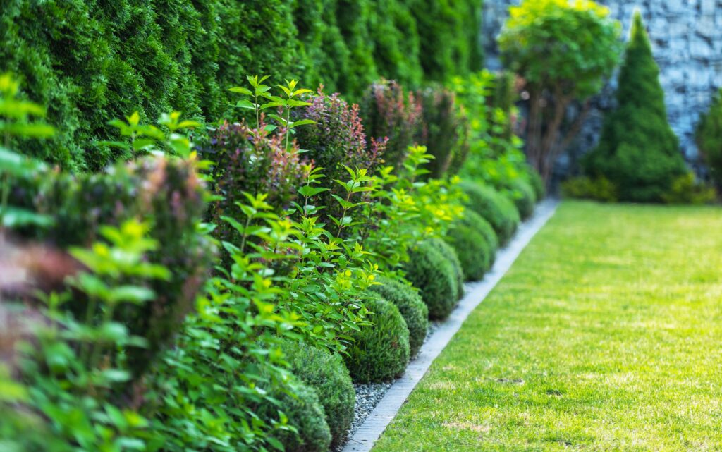 Lush green garden featuring neatly trimmed shrubs and colorful plants along a stone pathway in Landscaping Wicklow