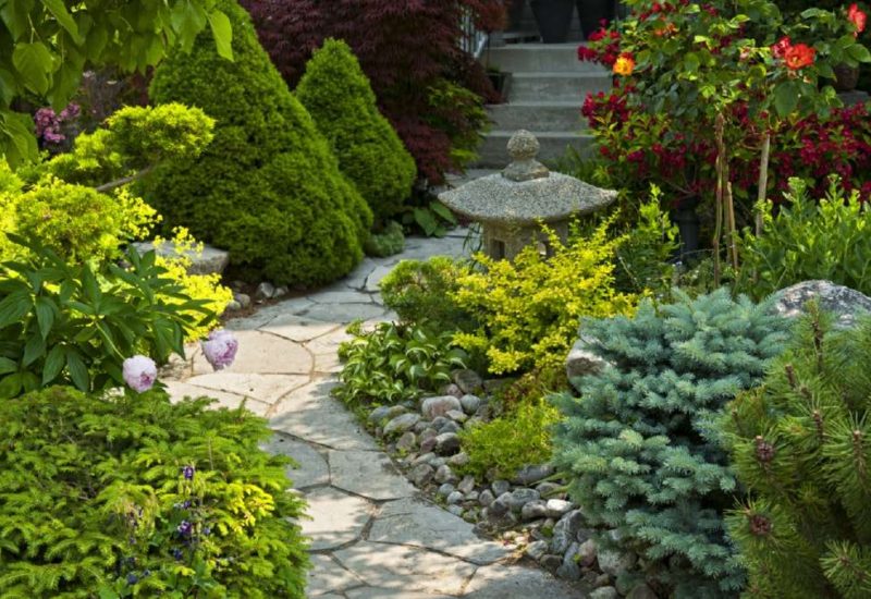 Lush garden path with vibrant flowers, shrubs, and a stone lantern, showcasing beautiful landscaping in Wicklow