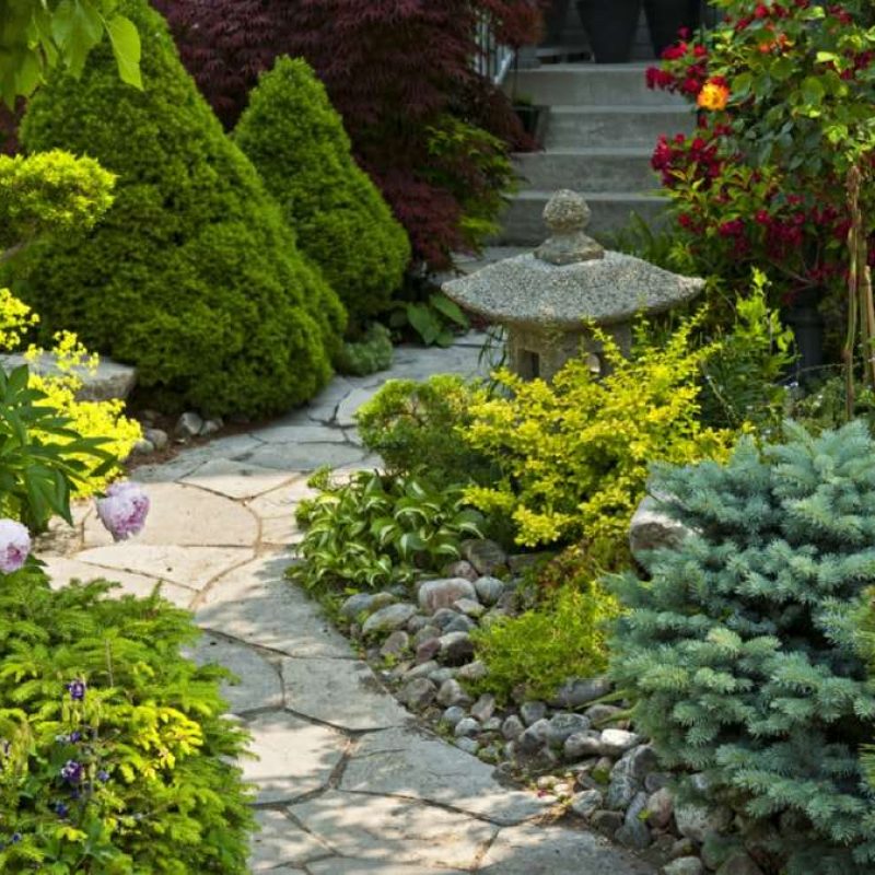 Lush garden path with vibrant flowers, shrubs, and a stone lantern, showcasing beautiful landscaping in Wicklow